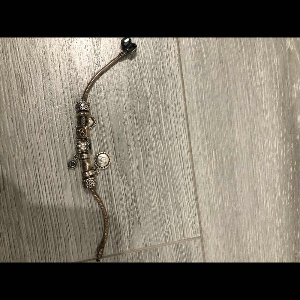 Pandora bracelet with charms